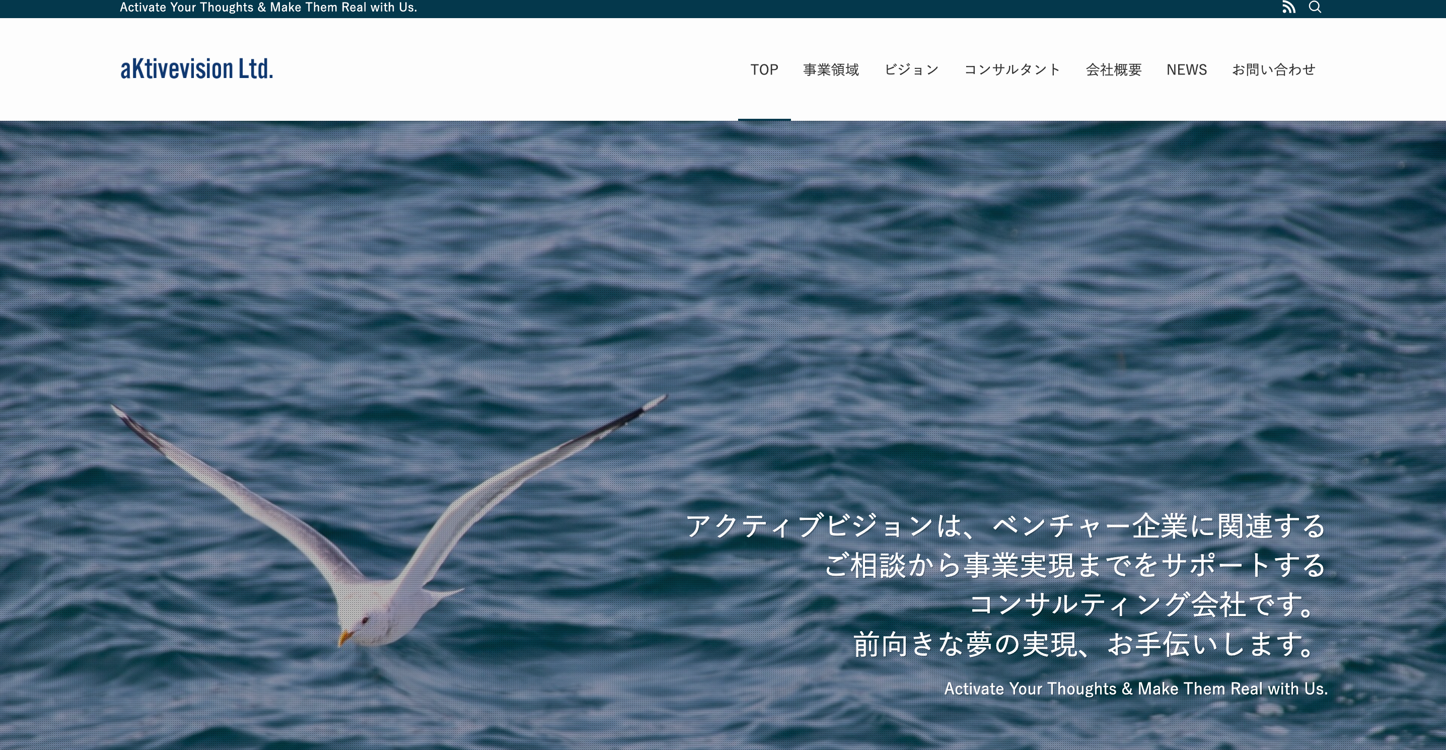 アクティブビジョン株式会社